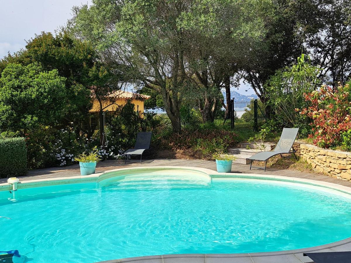 Rez De Jardin Presqu'ile De Giens Apartment